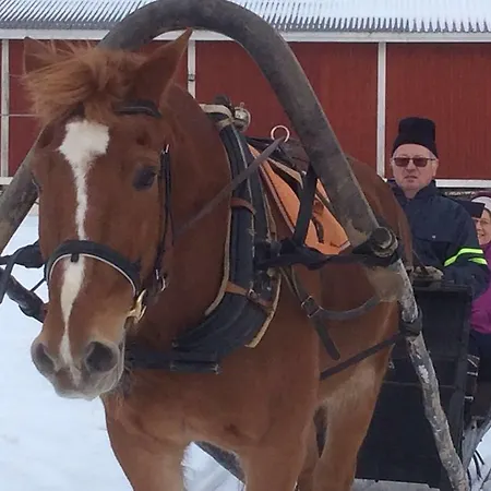 Ilola Maatilamatkailu Valkeakoski
