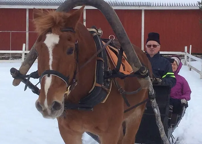 Ilola Maatilamatkailu バルケアコスキ