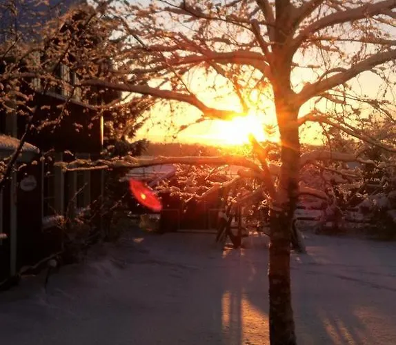 Ilola Maatilamatkailu ファームステイ バルケアコスキ